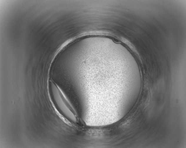 X0000078891237200611271344