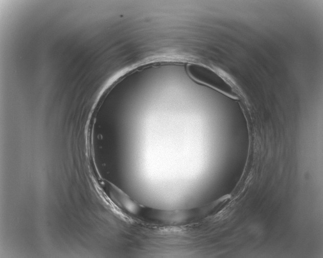 X0000078891238200611271344