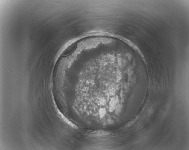 X0000078891239200611271344