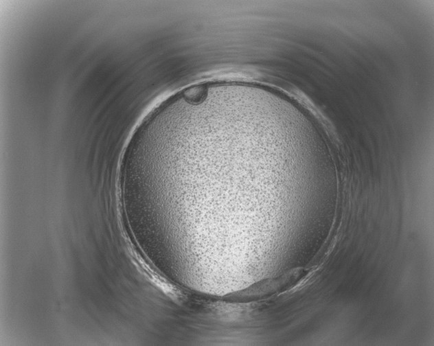 X0000078891240200611271344