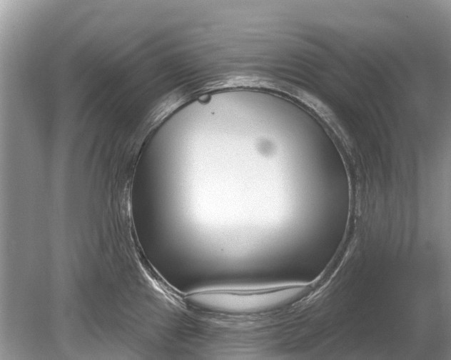 X0000078891241200611271344