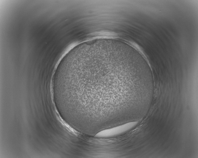 X0000078891243200611271344