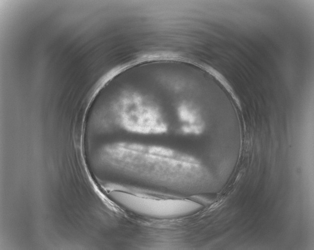 X0000078891245200611271344