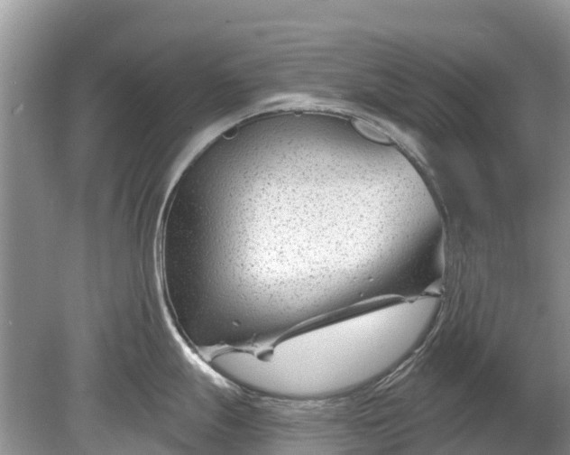 X0000078891247200611271344