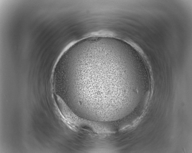 X0000078891248200611271344