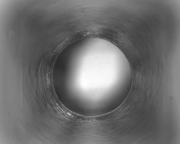 X0000078891250200611271344