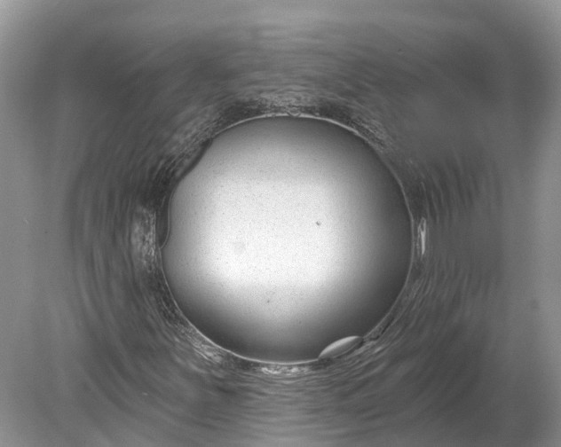 X0000078891251200611271344