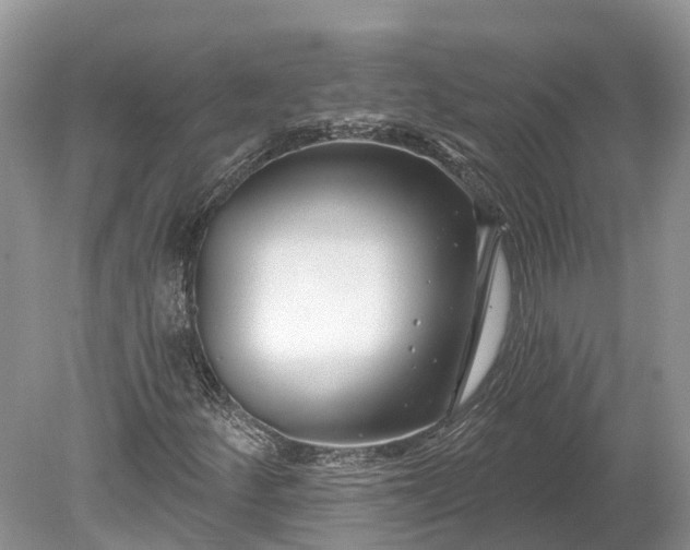 X0000078891252200611271344