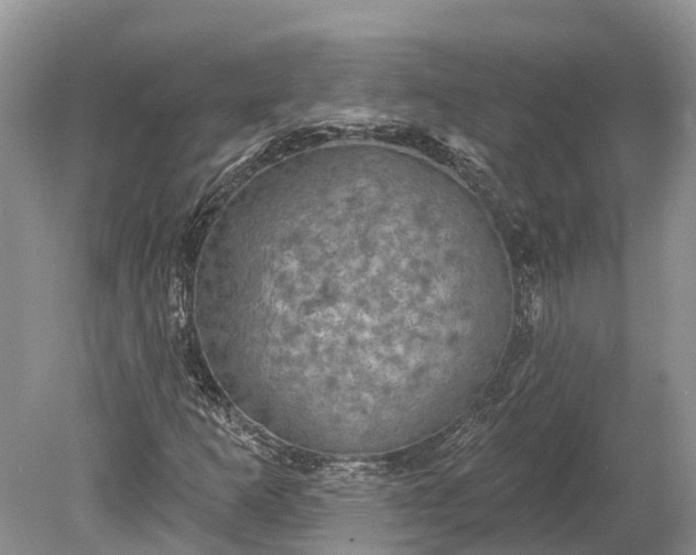 X0000078891253200611271344