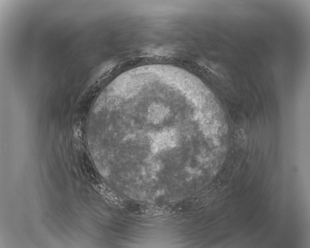 X0000078891254200611271344