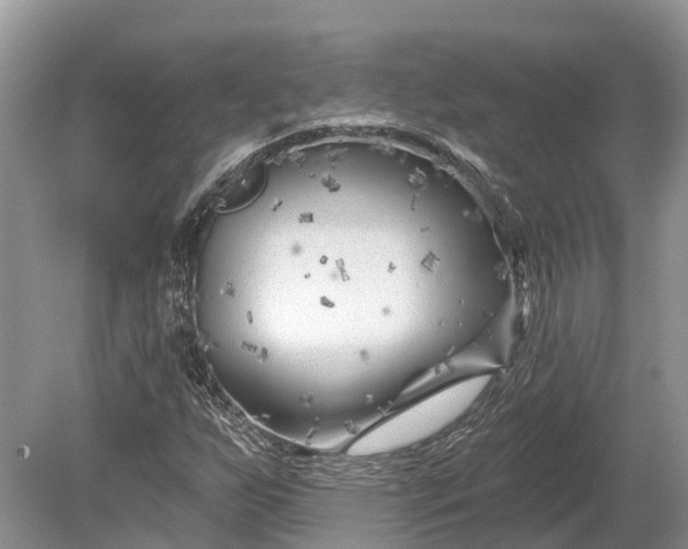 X0000078891255200611271344