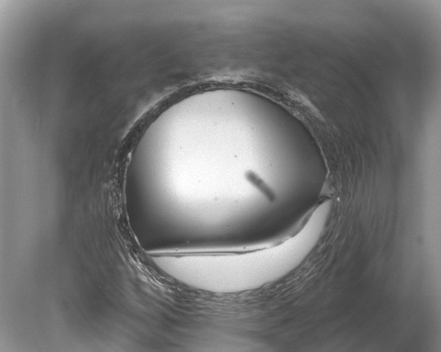 X0000078891256200611271343