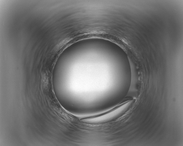 X0000078891257200611271343