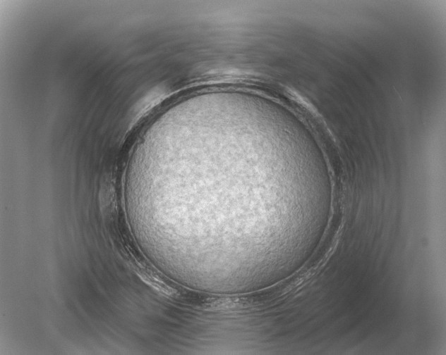 X0000078891259200611271343