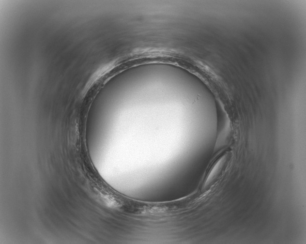 X0000078891261200611271343