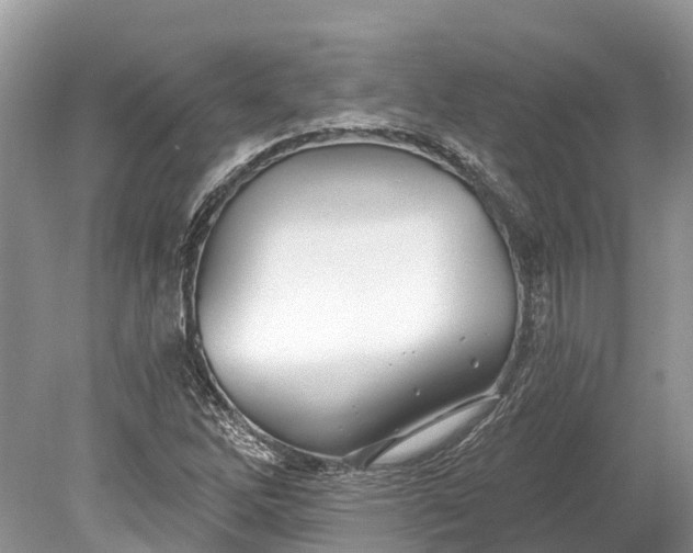 X0000078891262200611271343