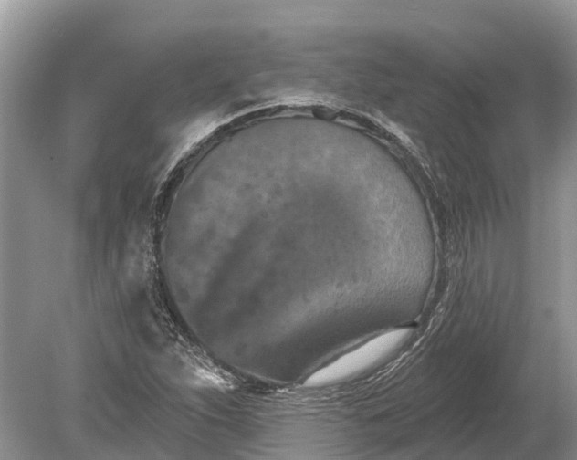 X0000078891263200611271343