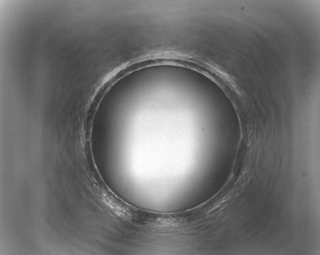 X0000078891264200611271343