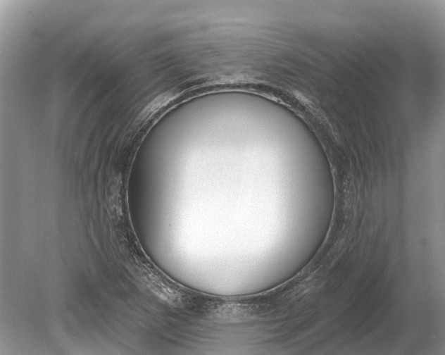 X0000078891265200611271343