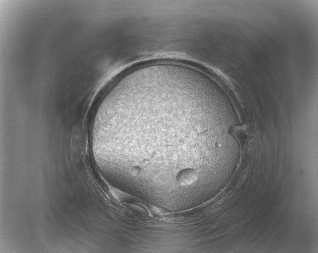 X0000078891271200611271343