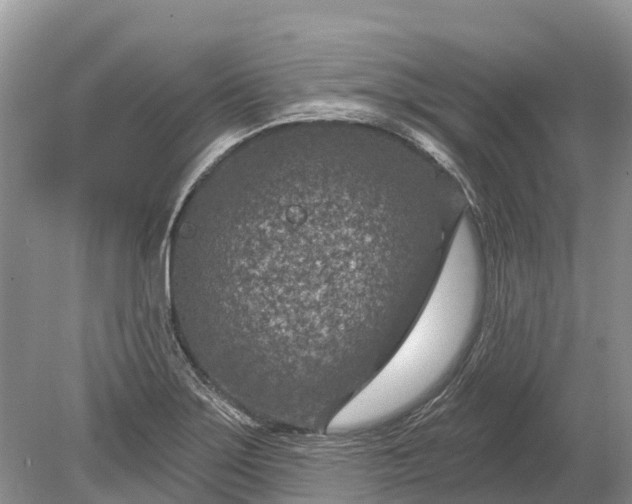 X0000078891275200611271343