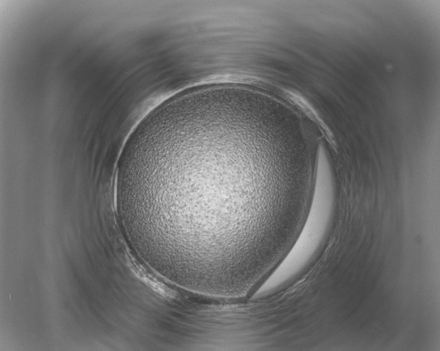 X0000078891276200611271343