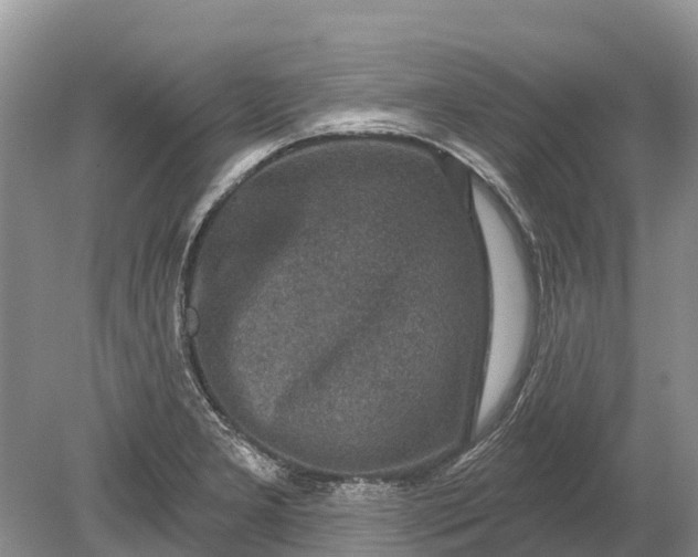 X0000078891277200611271343