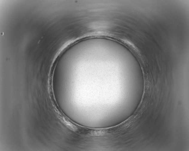 X0000078891278200611271343