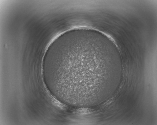 X0000078891279200611271343