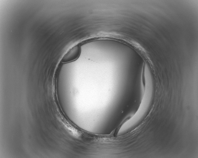 X0000078891280200611271343