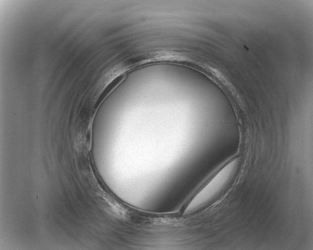 X0000078891281200611271343