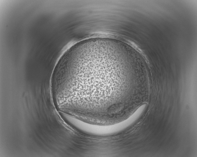 X0000078891283200611271343