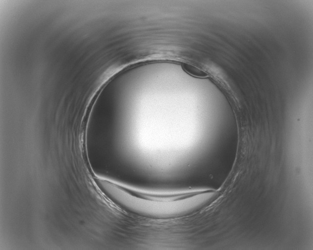 X0000078891284200611271343