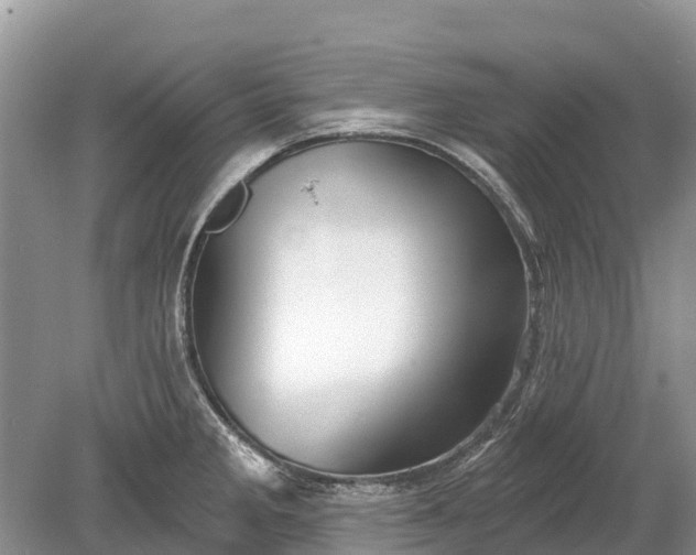 X0000078891285200611271343