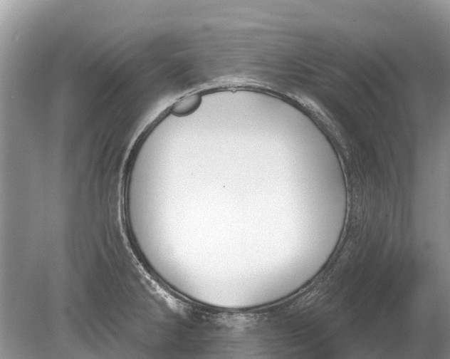 X0000078891286200611271343