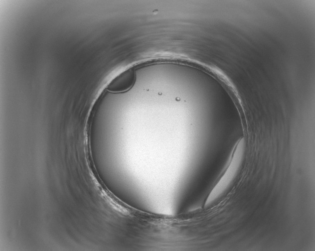 X0000078891287200611271343