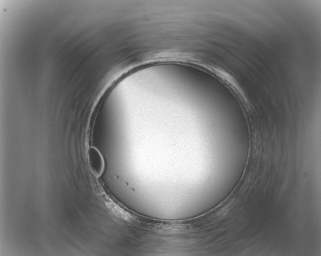 X0000078891288200611271343