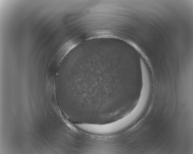 X0000078891289200611271343