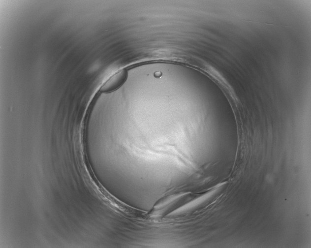 X0000078891291200611271343