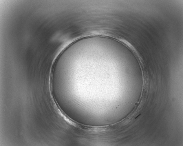 X0000078891294200611271343