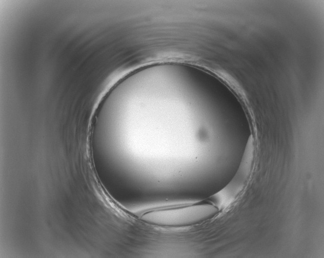 X0000078891296200611271343