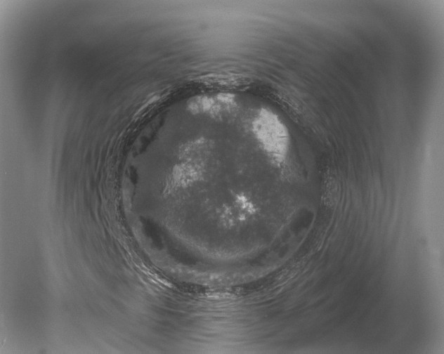 X0000078891297200611271342