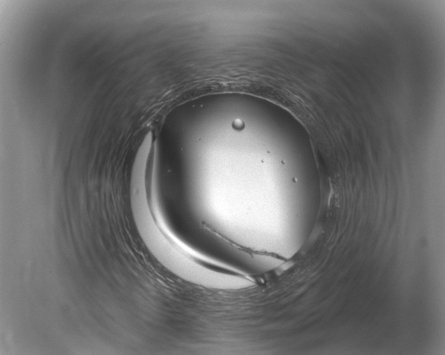 X0000078891298200611271342