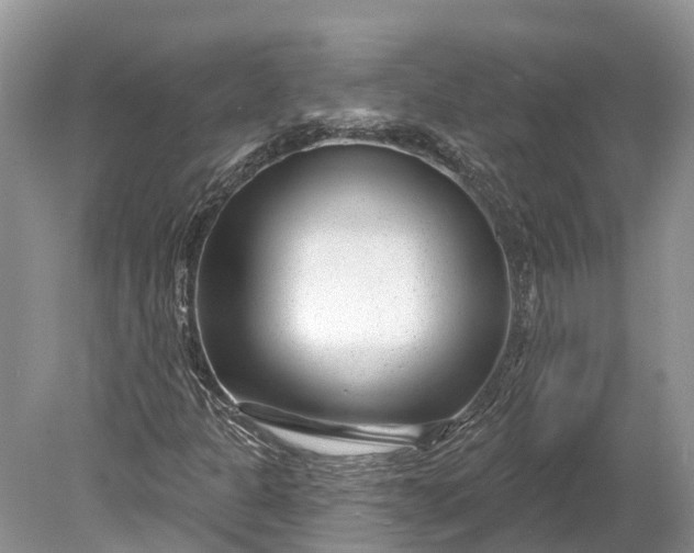 X0000078891301200611271342