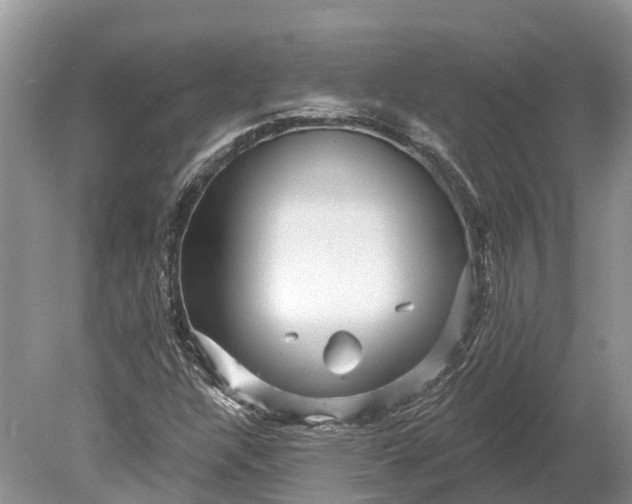 X0000078891304200611271342