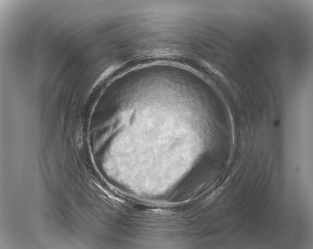 X0000078891306200611271342