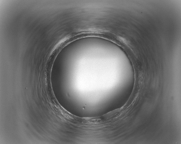 X0000078891307200611271342