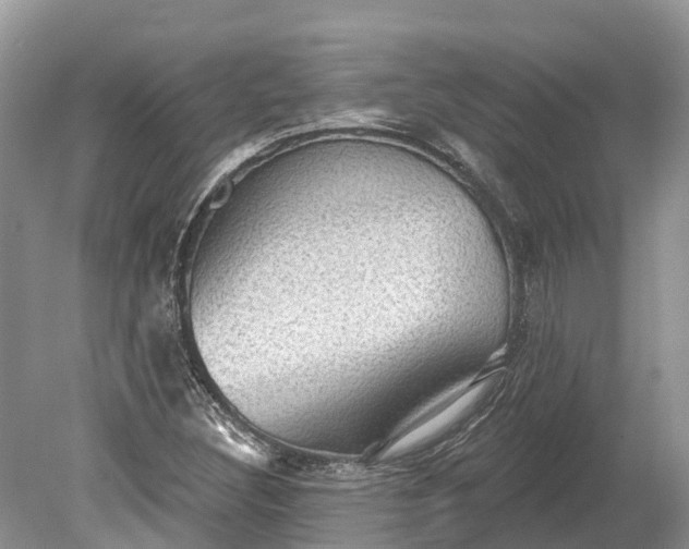 X0000078891308200611271342