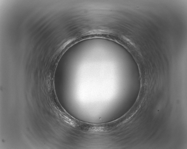 X0000078891313200611271342