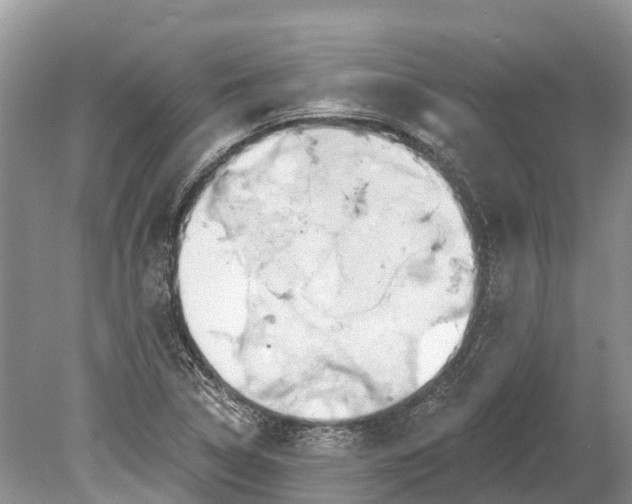 X0000078891314200611271342